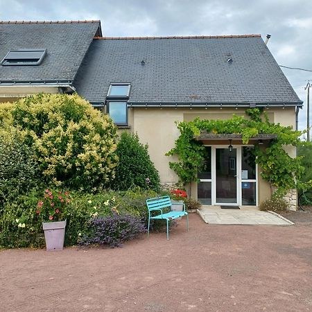 Hotel Le Logis Du Livier Saint-Georges-sur-Layon Esterno foto